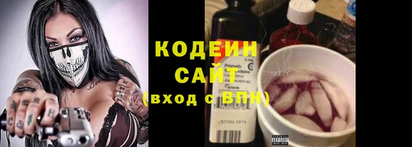 не бодяженный Алексин