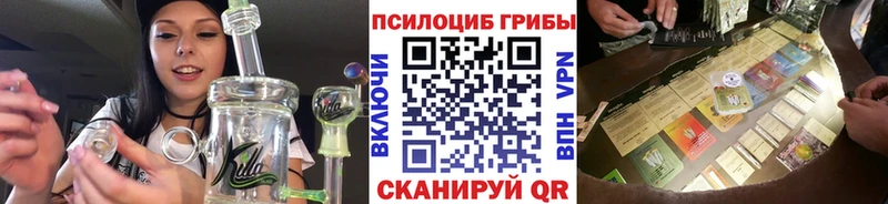Галлюциногенные грибы Cubensis  Купить  Борзя 